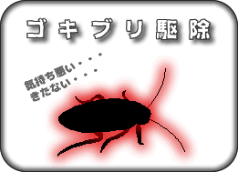 SLuμ