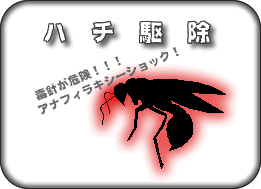 n`μ
